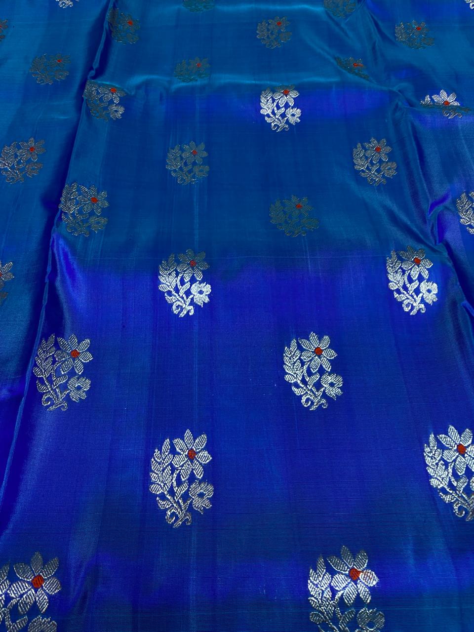 Venkatagiri Pure Silk Silk Saree